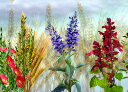 Oryginalny obrazek
