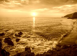 Sepia