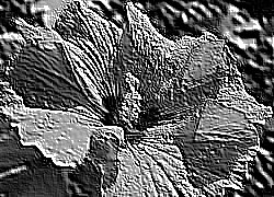 Skamielina