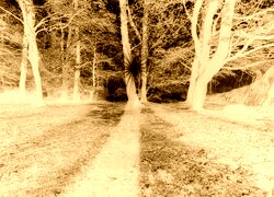 Sepia + Negatyw