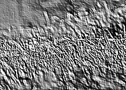 Skamielina