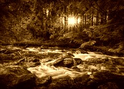 Sepia