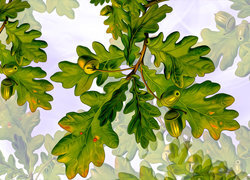 Oryginalny obrazek
