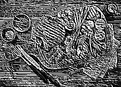 Skamielina