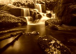 Sepia