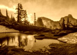Sepia