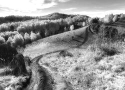 Szary + Sepia