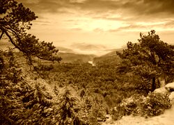 Sepia