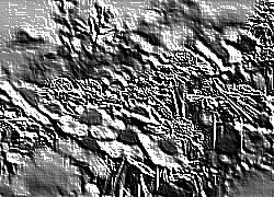 Skamielina
