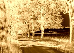 Sepia + Negatyw