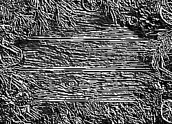 Skamielina