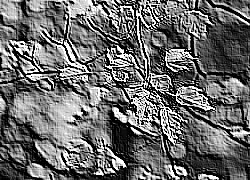 Skamielina