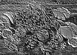 Skamielina