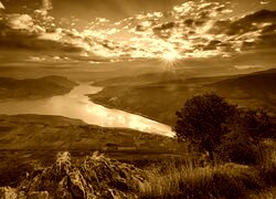 Sepia