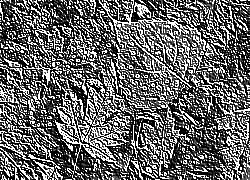 Skamielina