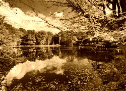 Sepia