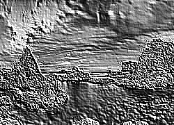 Skamielina