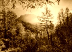 Sepia
