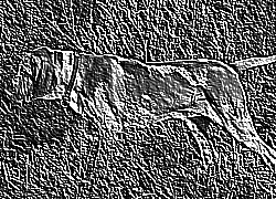 Skamielina