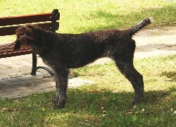Oryginalny obrazek