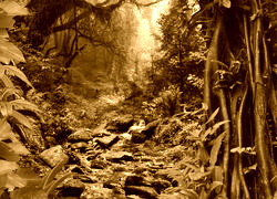Sepia