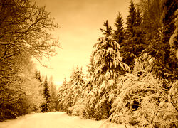 Sepia