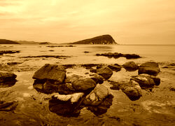 Sepia
