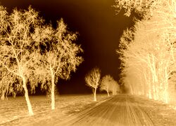 Sepia + Negatyw