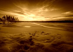 Sepia