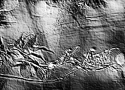 Skamielina