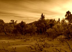 Sepia