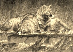 Sepia + Negatyw