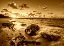 Sepia