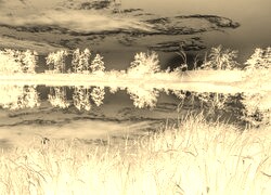 Sepia + Negatyw