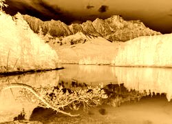Sepia + Negatyw
