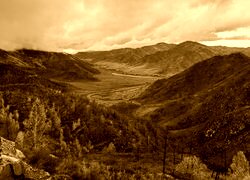 Sepia
