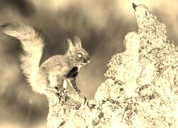 Sepia + Negatyw