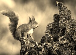 Sepia