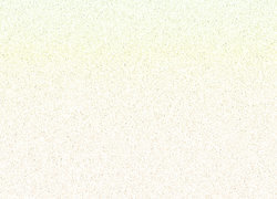 Negatyw