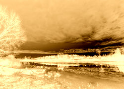 Sepia + Negatyw