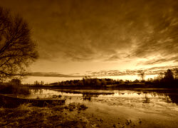 Sepia