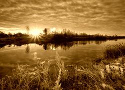 Sepia