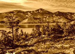 Sepia