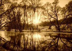 Sepia