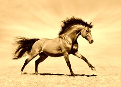 Sepia