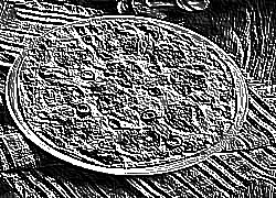 Skamielina