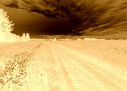 Sepia + Negatyw