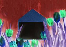 Negatyw