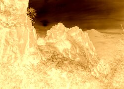 Sepia + Negatyw