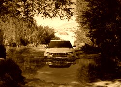 Sepia